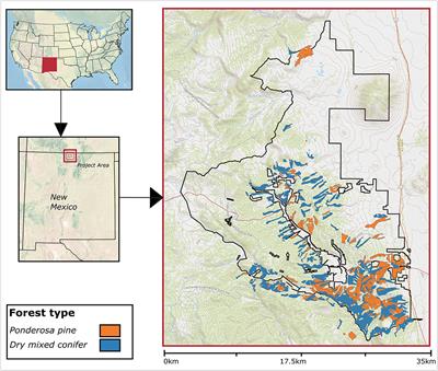 A Framework for Quantifying Resilience to Forest Disturbance